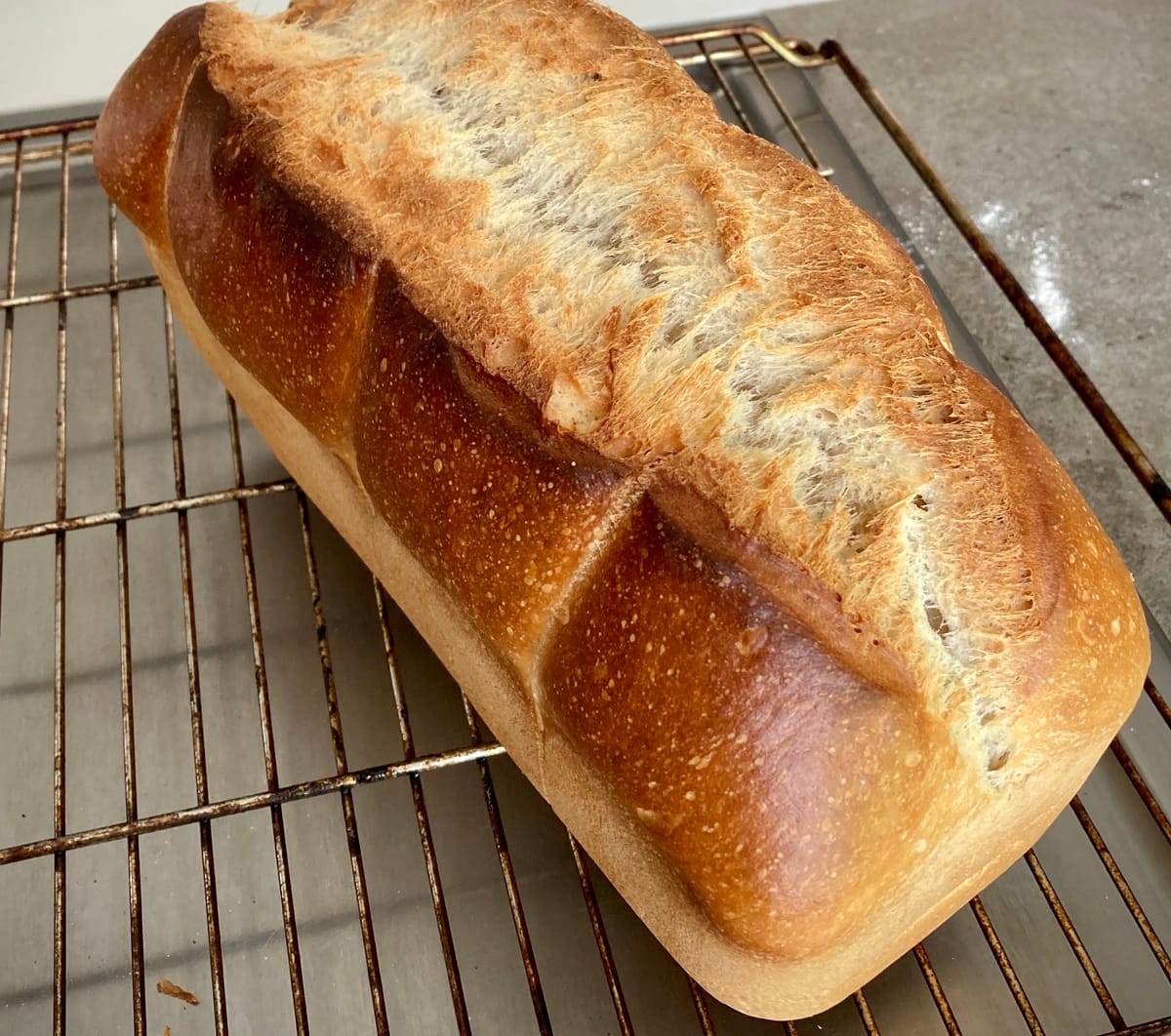 Toastbrot