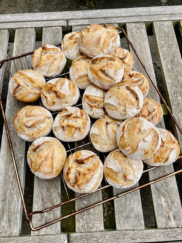 Sauerteig Weizenbrötchen